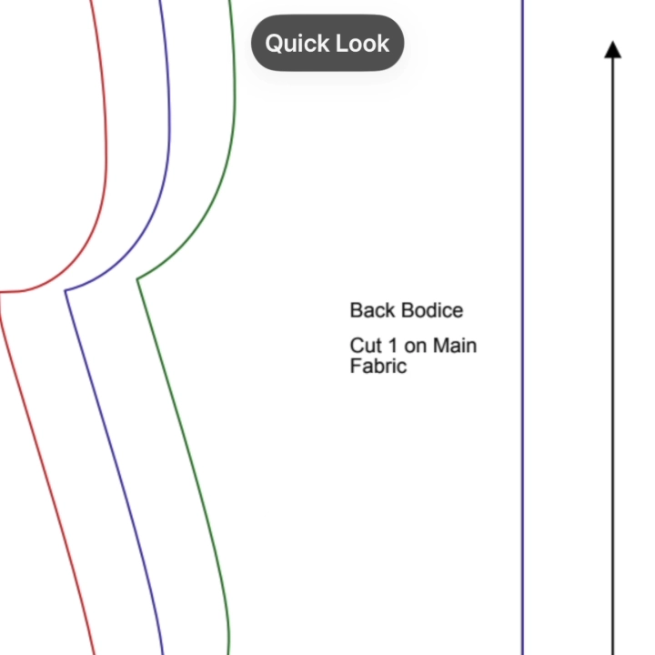 Video showing quick look mode